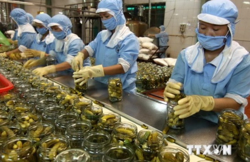 2024年越南科技企业十强榜单公布