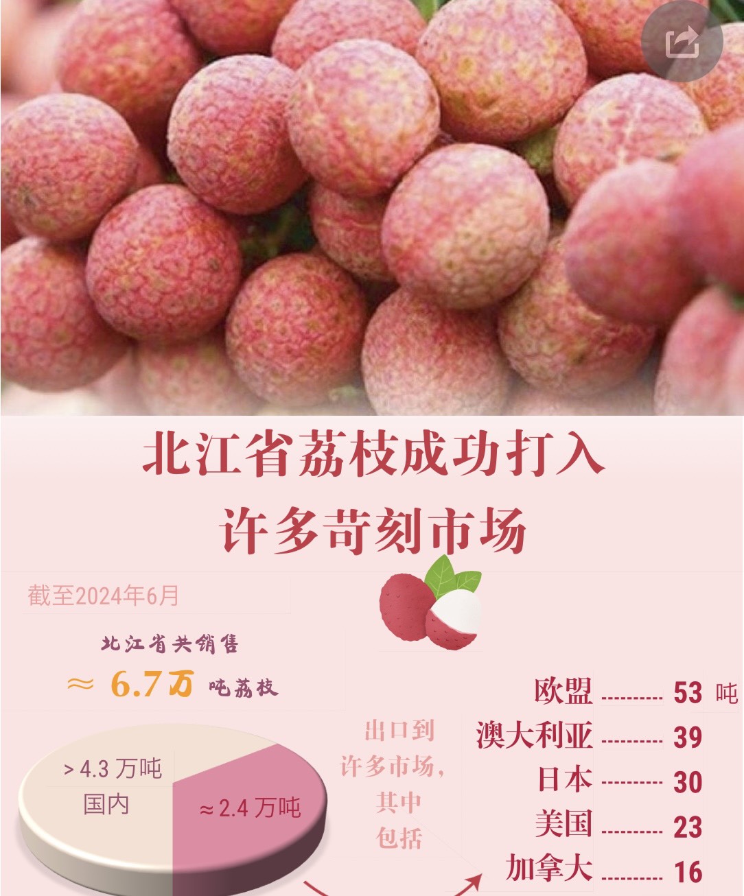 越南北江荔枝成功打入许多苛刻市场