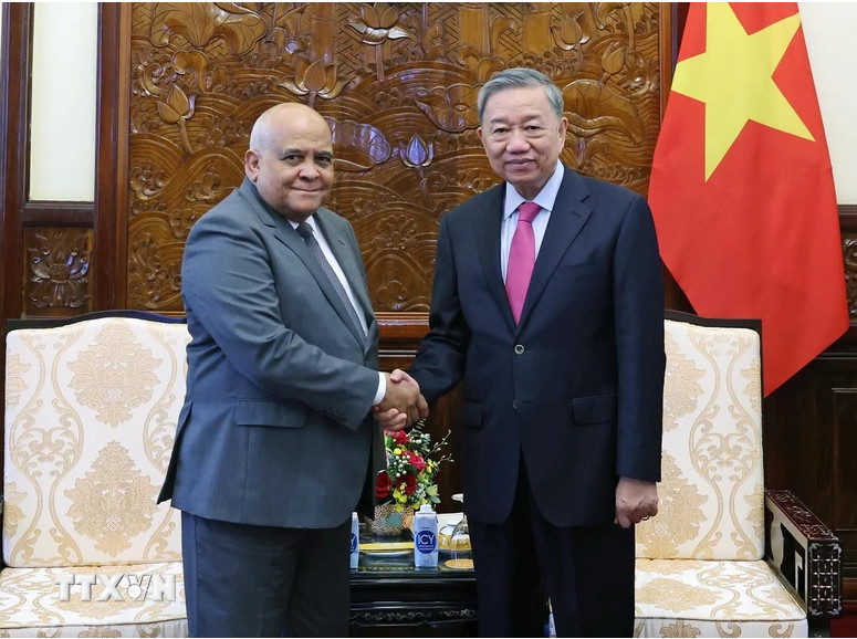 越南国家主席苏林会见古巴驻越南大使奥兰多·尼古拉斯·斯吉伦