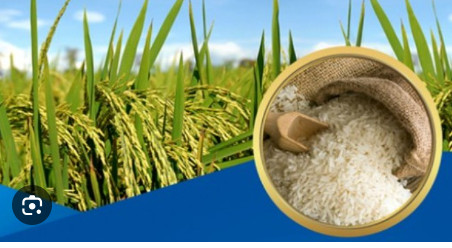 越南支出约7亿美元进口大米