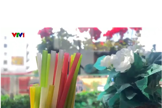 越南产的纯天然吸管在2024年欧洲足球锦标赛深受青睐