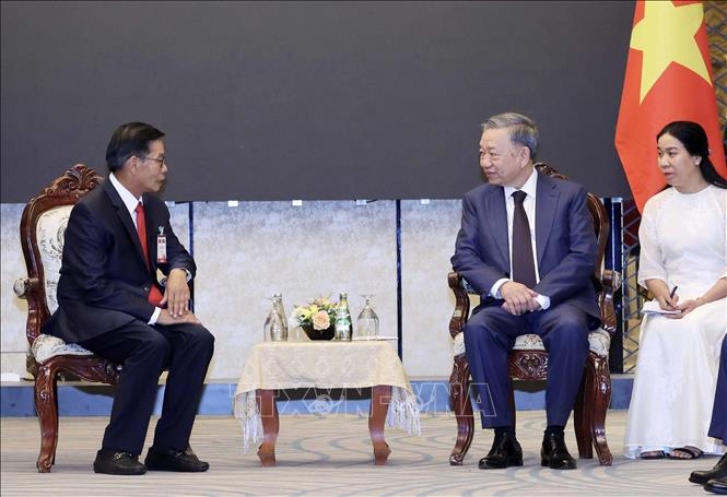 国家主席苏林会见老挝建国阵线主席和老越友好协会领导