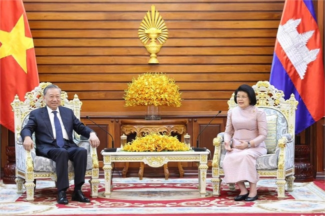 越南国家主席苏林会见柬埔寨国会主席昆索达莉