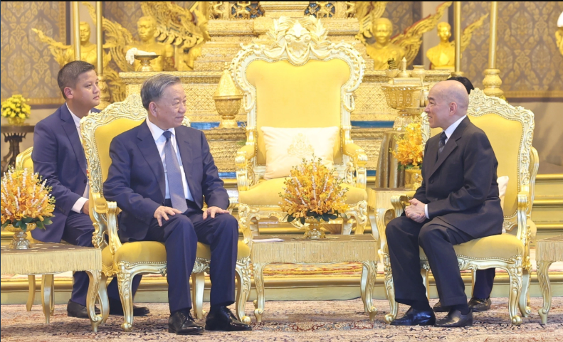 越南国家主席苏林会见柬埔寨国王诺罗敦·西哈莫尼