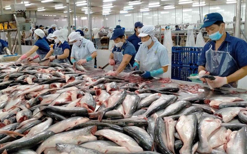 越南对阿联酋的楂鱼出口额大幅增长