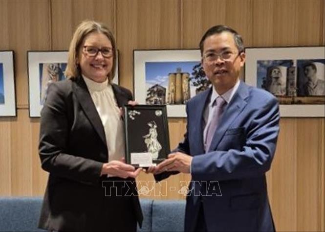 力推越澳两国地方合作相称于两国全面战略伙伴关系