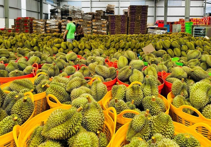 泰国斥巨资增加收购越南蔬果