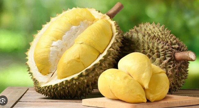 东盟和中国合作发展榴莲产业
