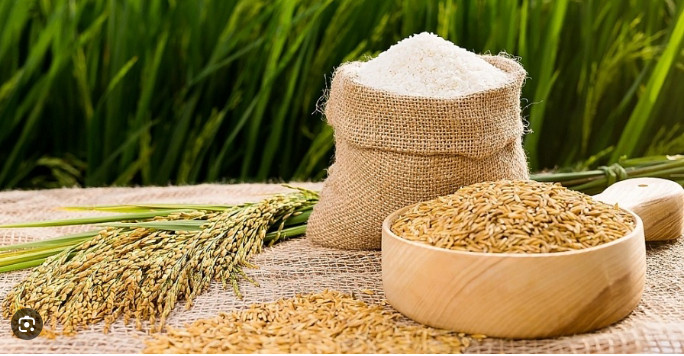 越南大米出口价格暴涨