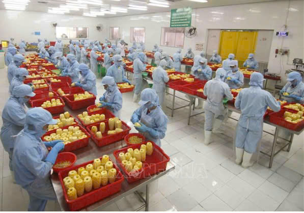 越南和美国双边贸易总额持续大幅增长