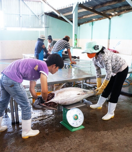 今年7月越南水产品出口额同比增长14  创今年初以来新高