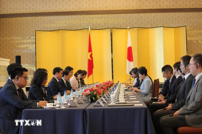 越南外交部长裴青山对日本进行正式访问