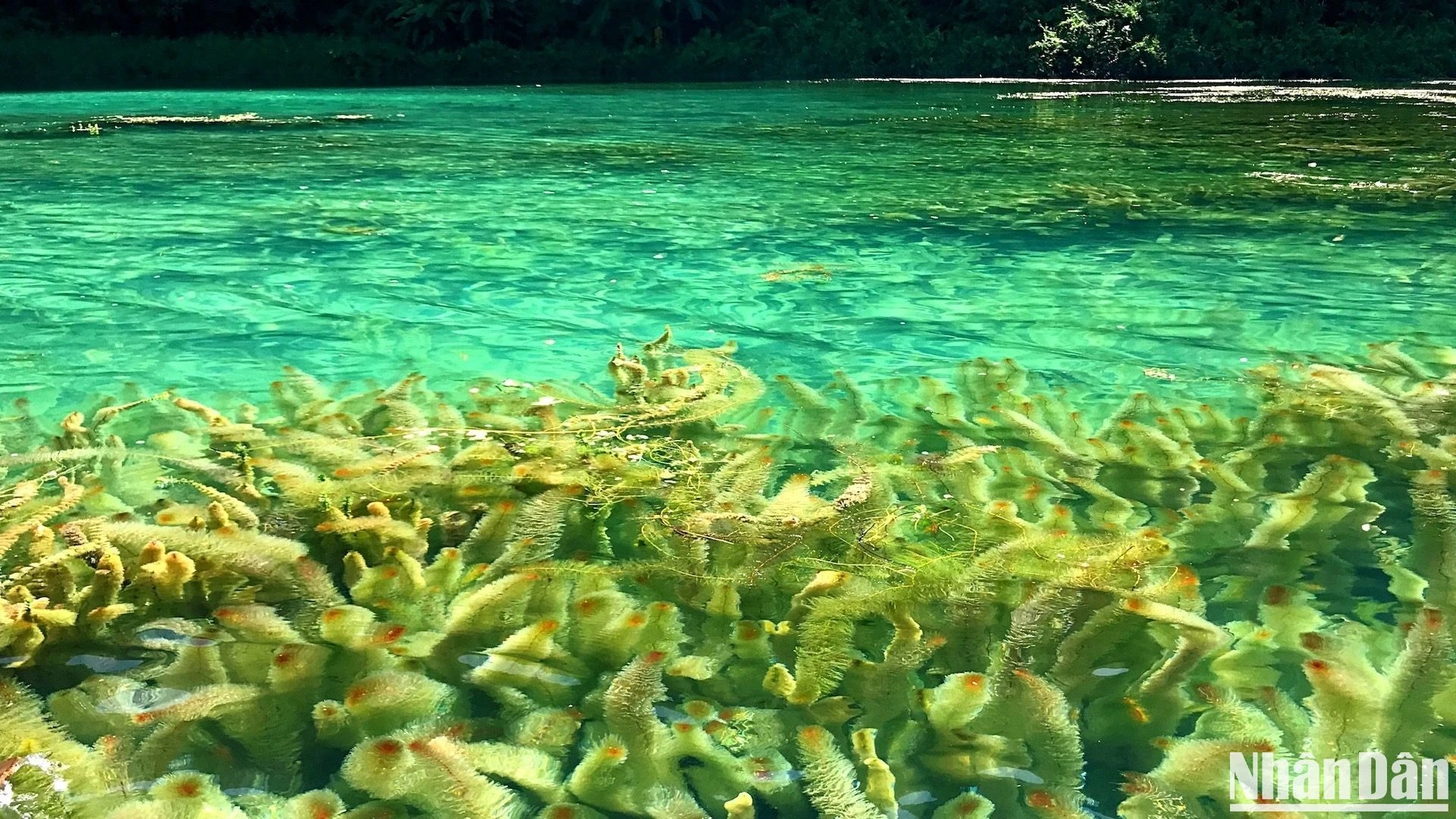 宁平省长安的初秋美景