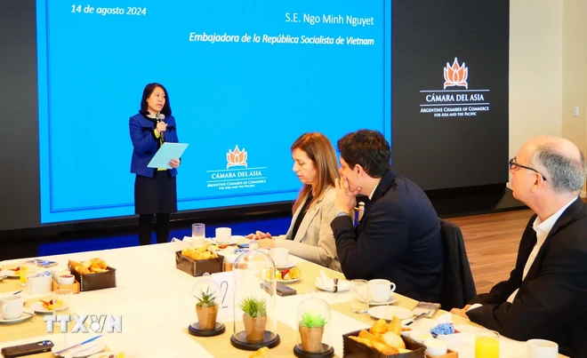 越南——阿根廷企业的潜在市场