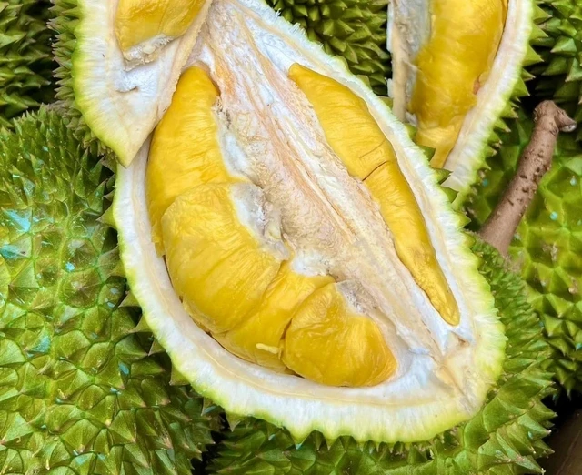 2024年越南榴莲出口额有望达35亿美元