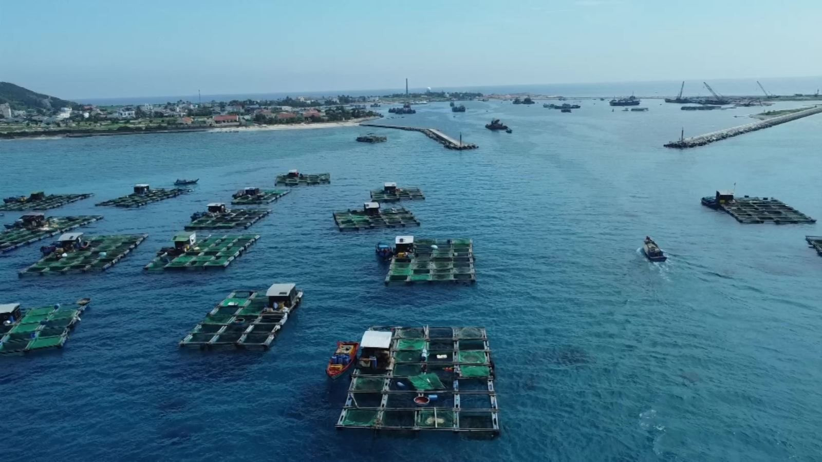 越南各地推动海水养殖业发展