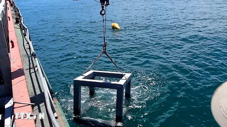 为水生物种打造人工栖息地