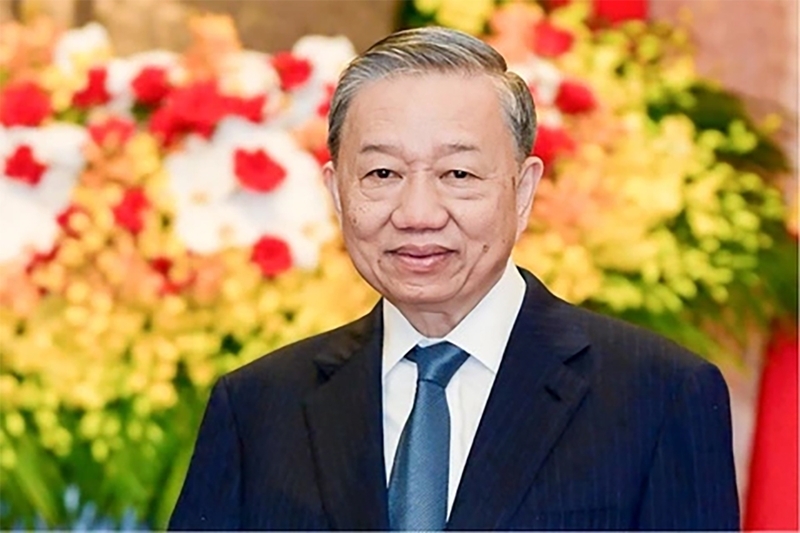 巩固和发展全面战略合作伙伴关系 构建越中命运共同体