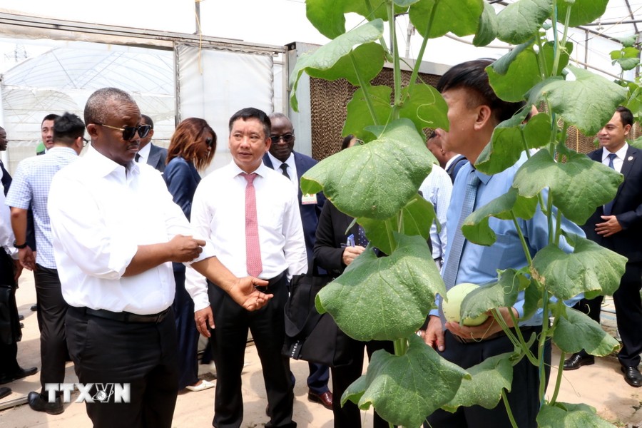 几内亚比绍总统走访海阳省粮食作物和蔬菜研究院