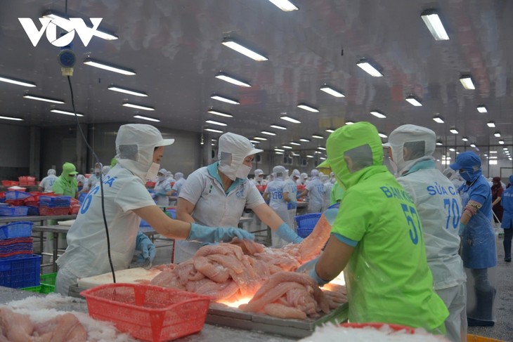 越南已为迎接欧盟水产养殖领域检查团做好准备