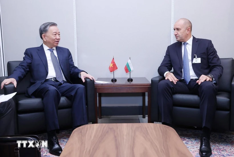 越共中央总书记、国家主席苏林会见各国领导人