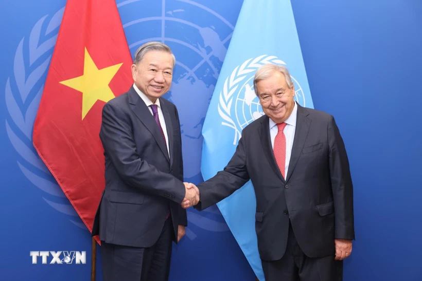 苏林总书记、国家主席会见国际组织领导