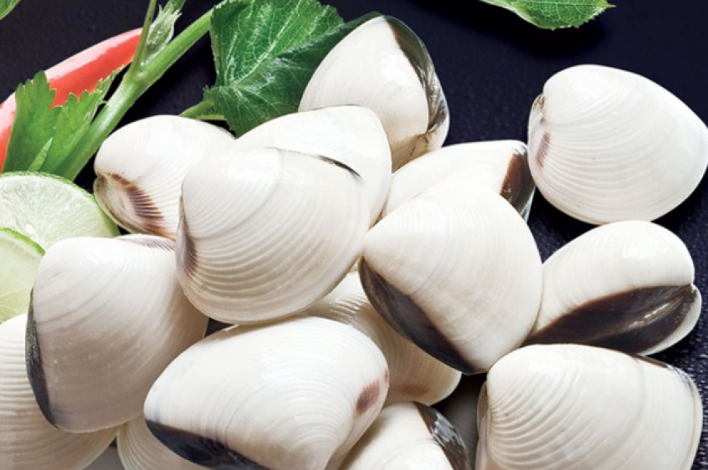 越南带壳贝类的出口额继续增加