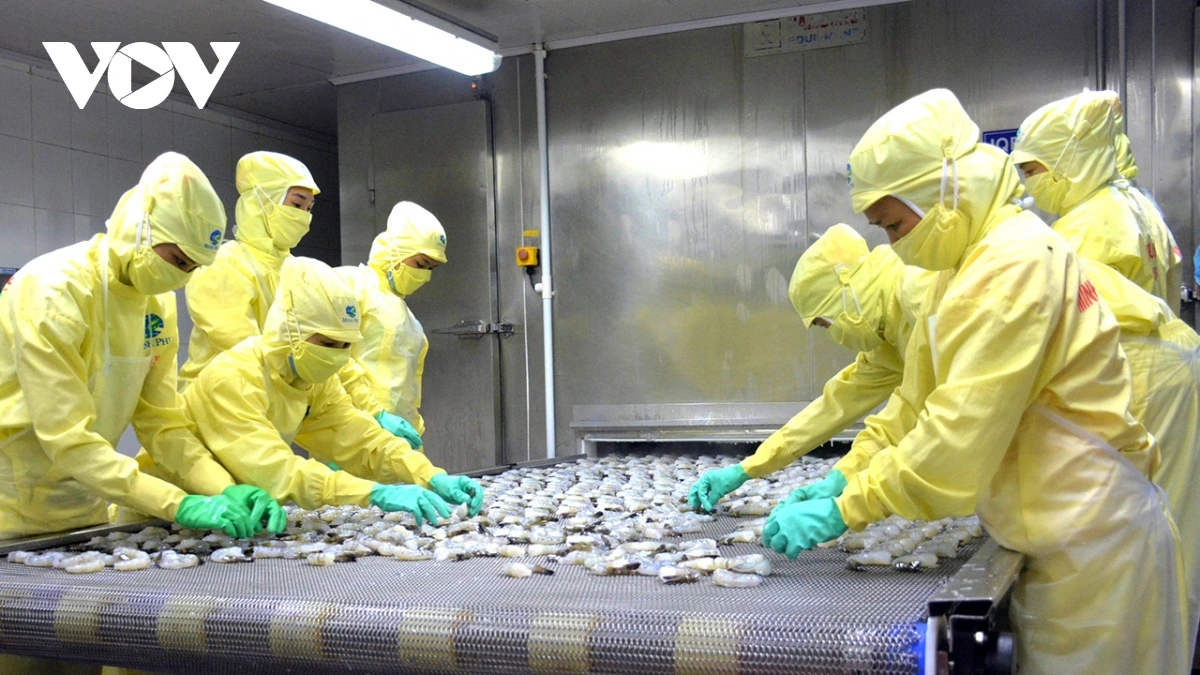 金瓯省邀请各国驻胡志明市总领事前来了解合作商机