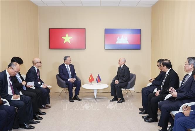 越共中央总书记、国家主席苏林会见柬埔寨国王诺罗敦·西哈莫尼