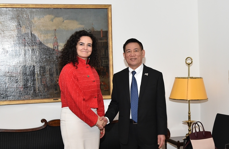 促进越南与德国在应对气候变化方面的合作