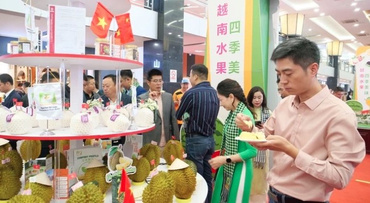 中国媒体高度评价越南经济的突破性增长