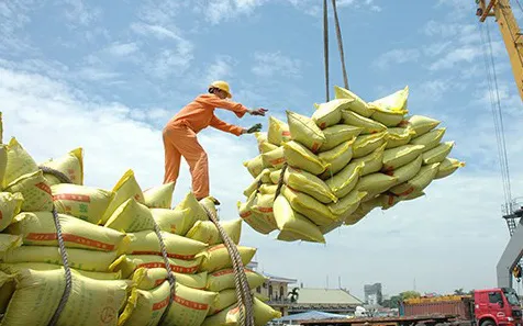 印尼从越南购买数百万吨大米