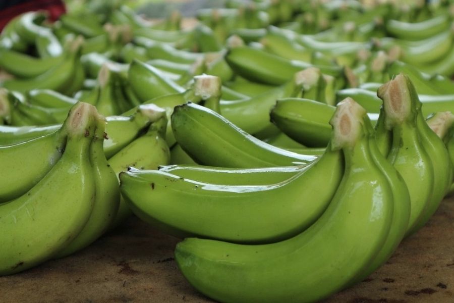 越南超过菲律宾成为中国最大的香蕉供应国