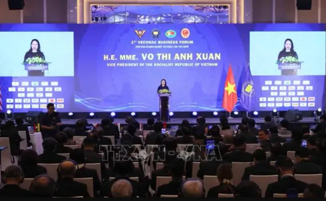 越南国家副主席武氏映春出席首届东盟国家退伍军人企业论坛