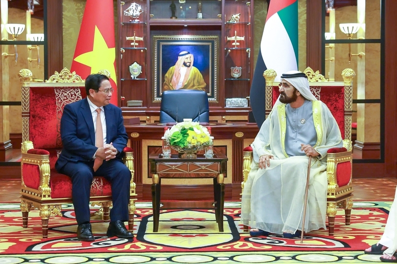 越南与阿联酋发表关于将双边关系提升至全面伙伴关系的联合声明