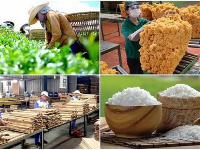 2024年前10个月越南农林水产品贸易顺差同比增加62 以上