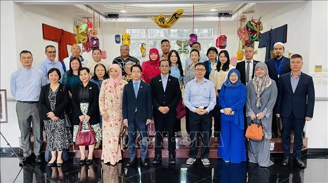 推动越南与文莱和湄公河-东盟东部增长区的旅游对接与合作