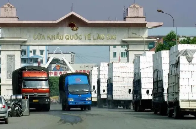 2024年越南与中国贸易额将达到2000亿美元