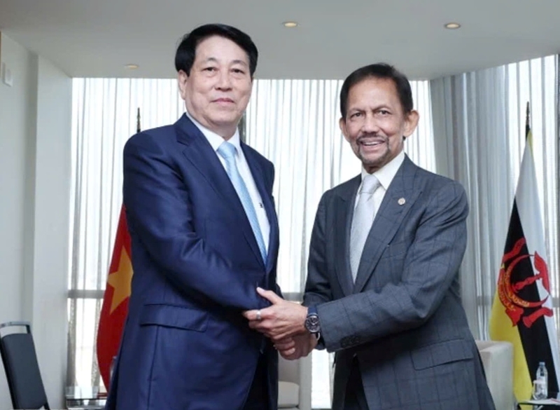 越南国家主席梁强会见文莱苏丹哈桑纳尔·博尔基亚