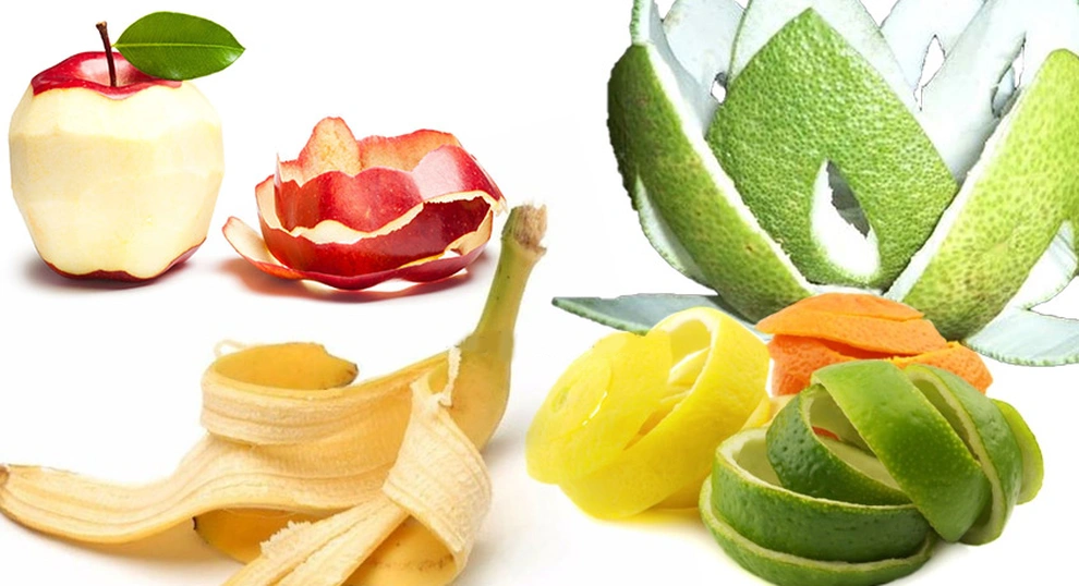 前江省首家果皮处理厂投入运行