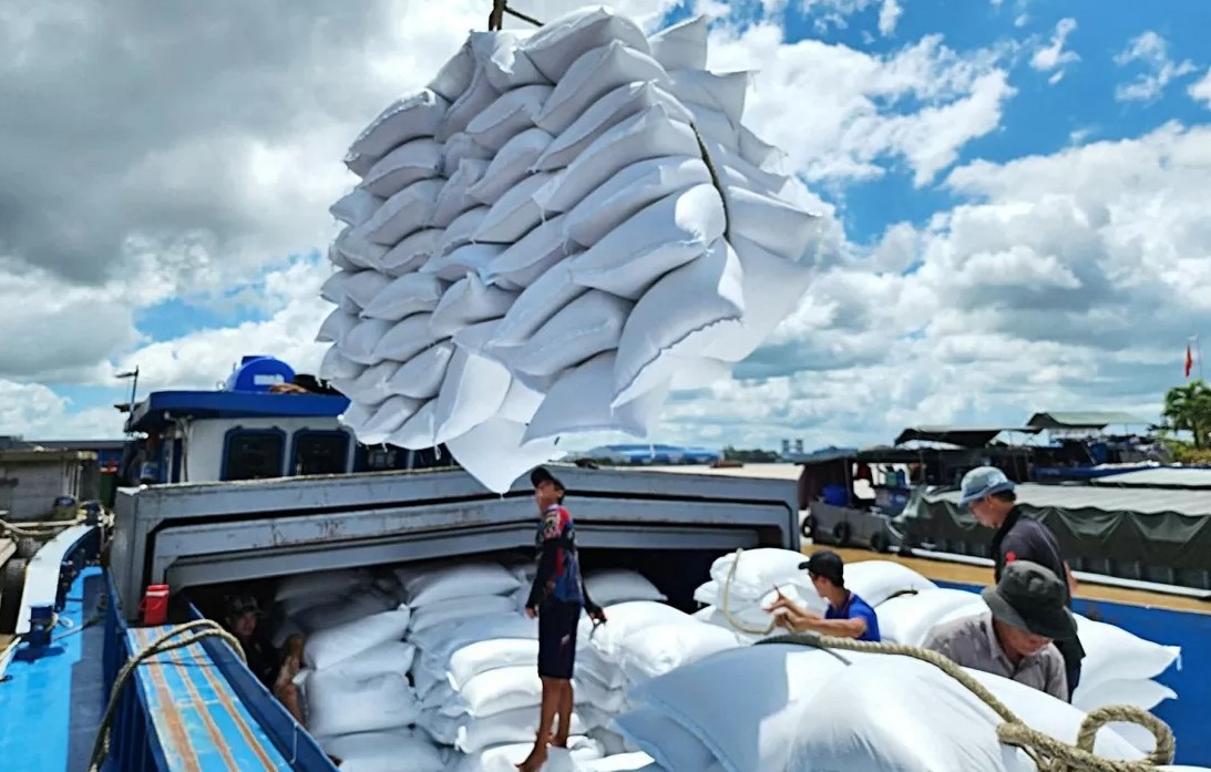 2024年前11个月越南大米出口总量超800万吨 出口总额达50 5亿美元