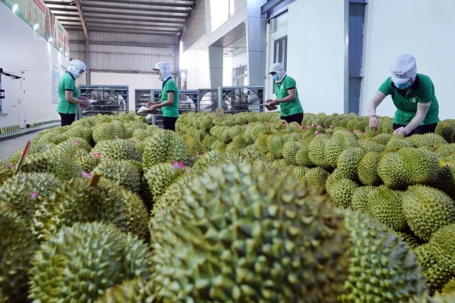 越南许多农产品提前完成既定出口目标