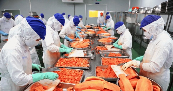 越南蔬果加工制品出口额约达11亿美元