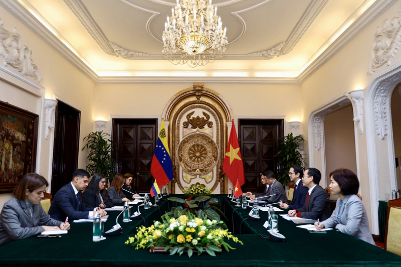 第十次越委外交部副部长级政治磋商在河内举行