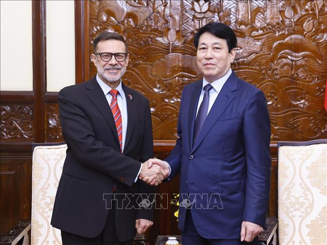 越南国家主席梁强会见即将离任的澳大利亚驻越大使