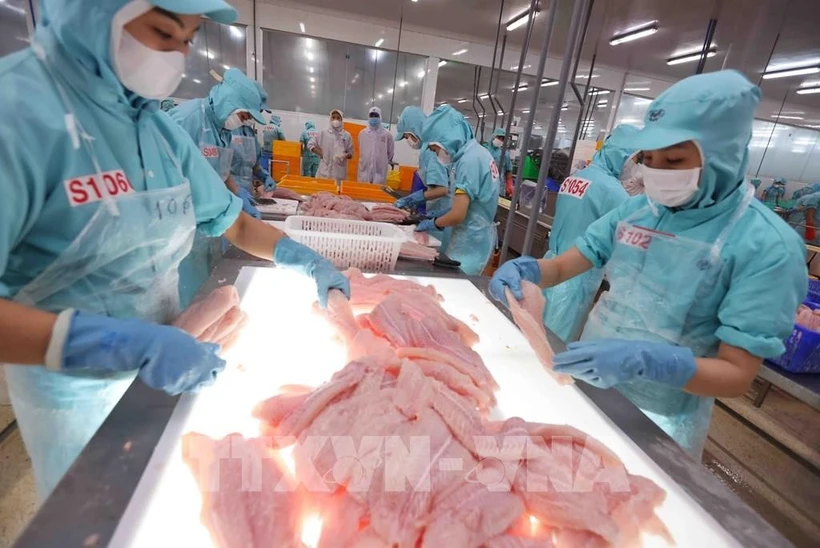 2024年越南农林水产品出口刷新纪录