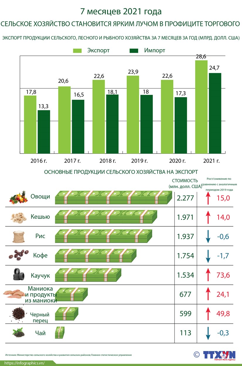 Сектор сельского хозяйства становится ярким лучом в профиците торгового баланса