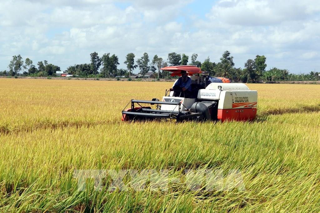 Меры восстановления сельскохозяйственного производства в период после окончания режима социального дистанцирования