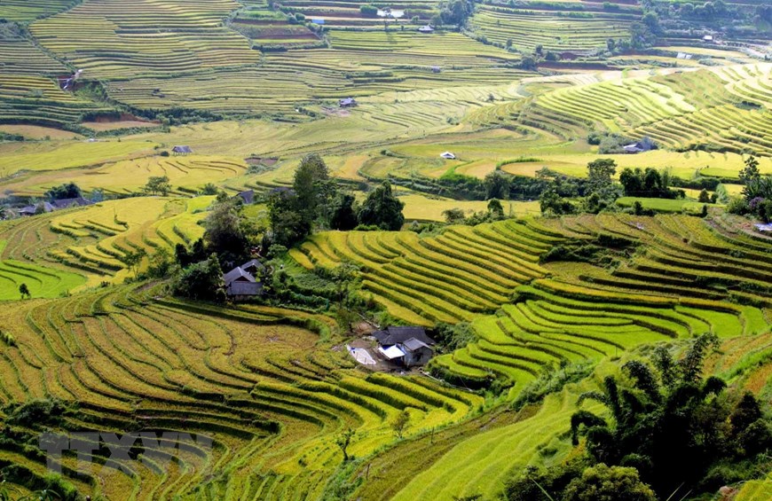 Красивые рисовые террасы в общине Таленг