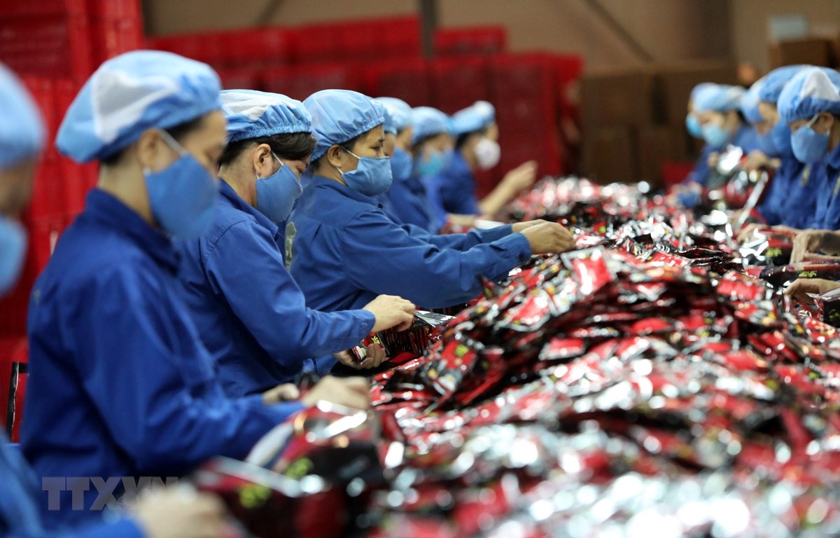 Сингапурская газета EVFTA помогает снизить последствия экономического спада